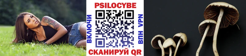 darknet официальный сайт  даркнет сайт  Владикавказ  Псилоцибиновые грибы Cubensis 